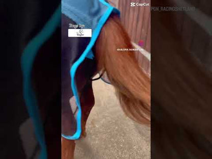 Shetland-Miniature-Donkey Mesh Cooler Rug