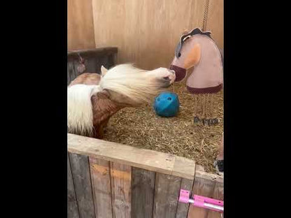 Horse Toy - Pony With Legs