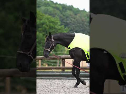 Hi Viz Fleece Lined Walker Rug With Reflective Stitching