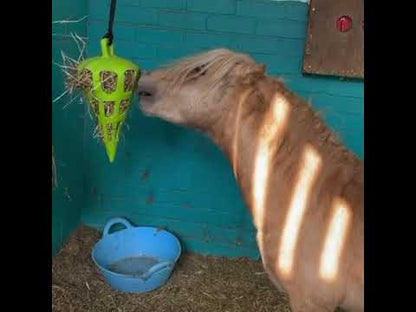 Hay Slow Feeder Fun and Flex Carrot