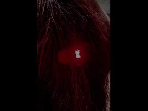 LED Spot Lights (pack of 4) For Hat, Stirrups, Tail, Back Packs, Items of Tack And Dog Collar