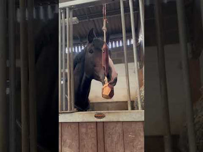 Horse Toy - Horses Head