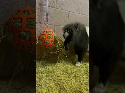 Hay Slow Feeder Fun and Flex 22cm Ball