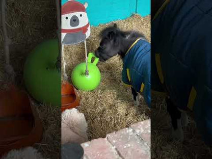 Scented Jolly Ball 25cm