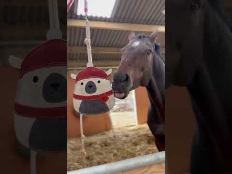 Horse Toy - Humphrey