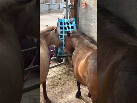 Slow Feed Hay Bag- 2" x 2" Small Hole Design