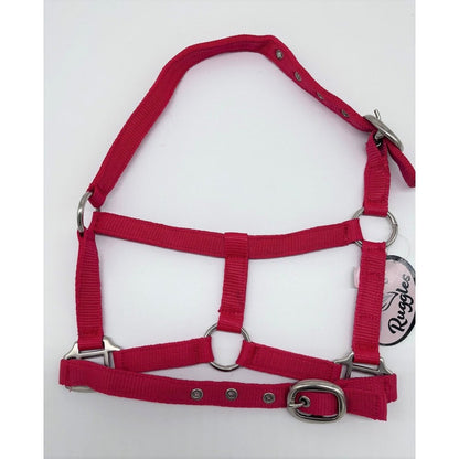 Shetland-Miniature Head Collar 3/4" Webbing