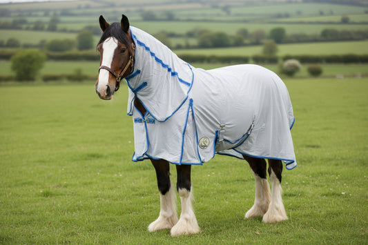 Heavy Horse Fly Rug And Neck Cover