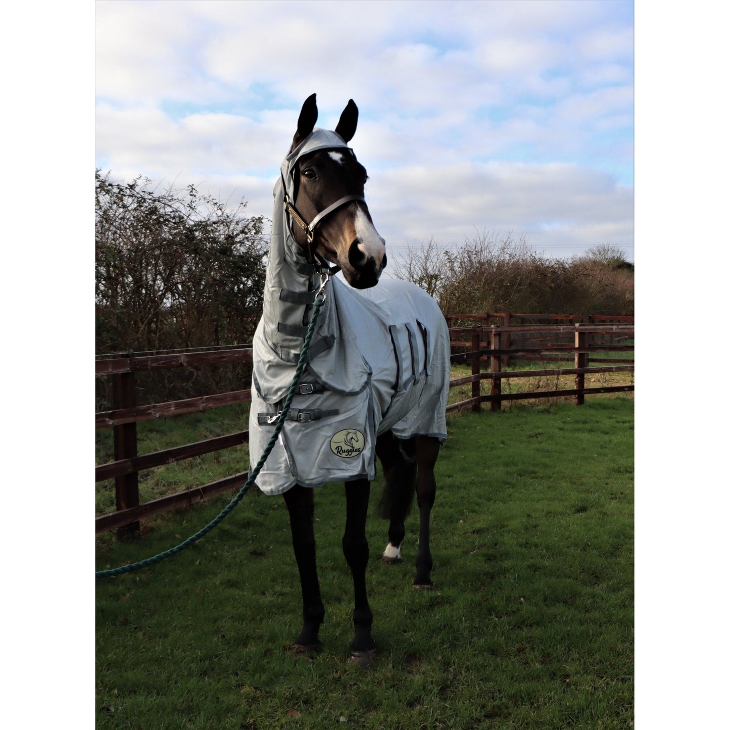 Combo Fly Rug With Belly Band And Ear Holes