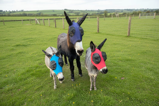 Donkey Pull On Fly Mask With Ears