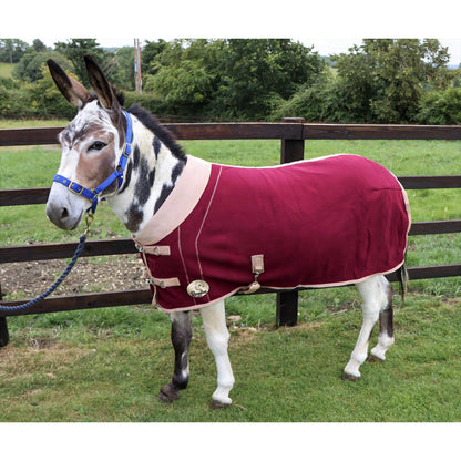 Shetland Double Bonded Fleece Rug