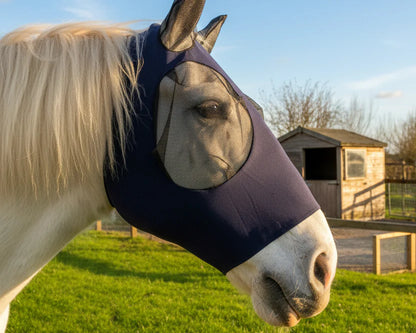 Shop Soiled Heavy Horse 6'6 160g Lightweight Mesh Fly Combo Rug With An XL Navy Lycra Pull On Fly Mask