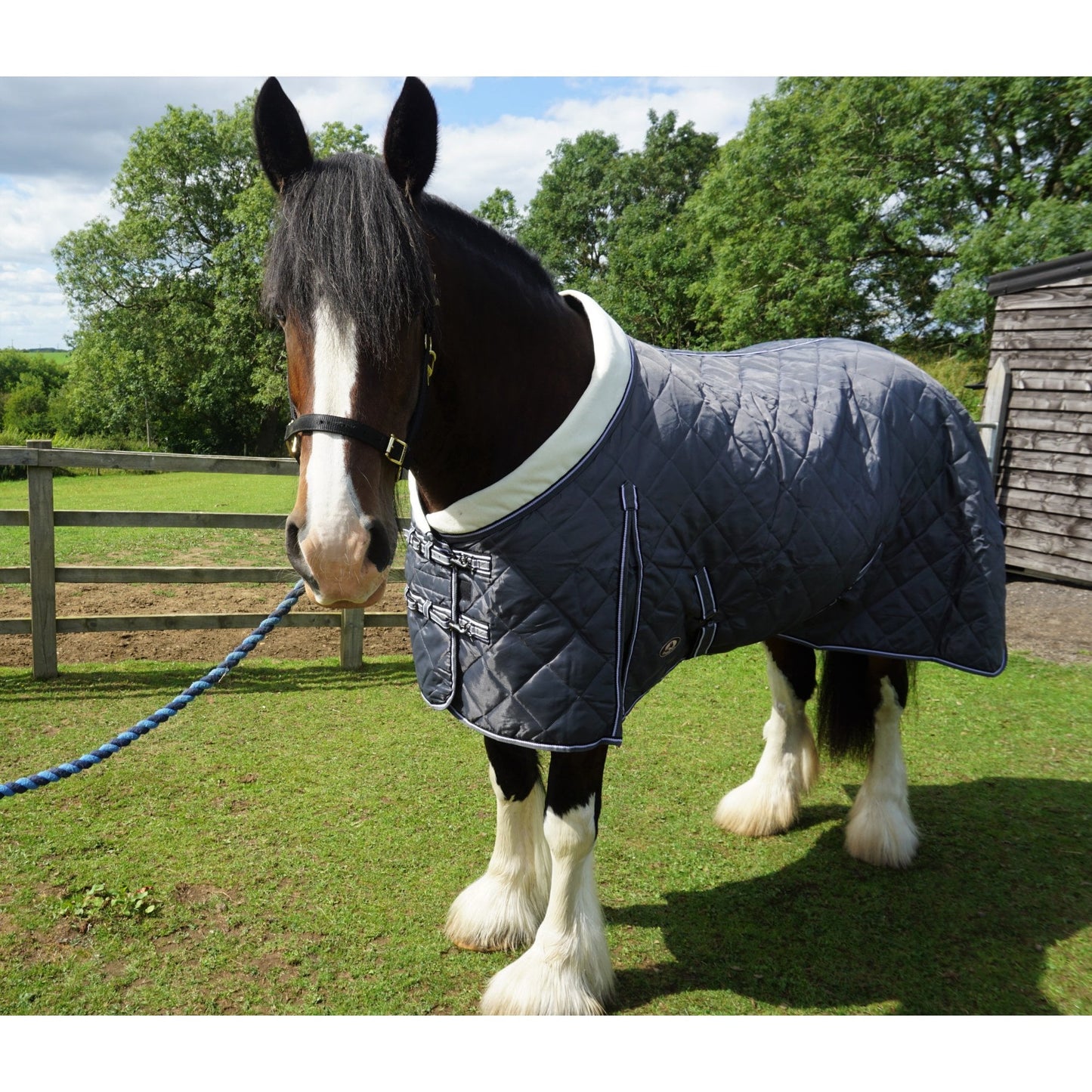 Heavy Horse 100g Stable Rug With Fleece Collar