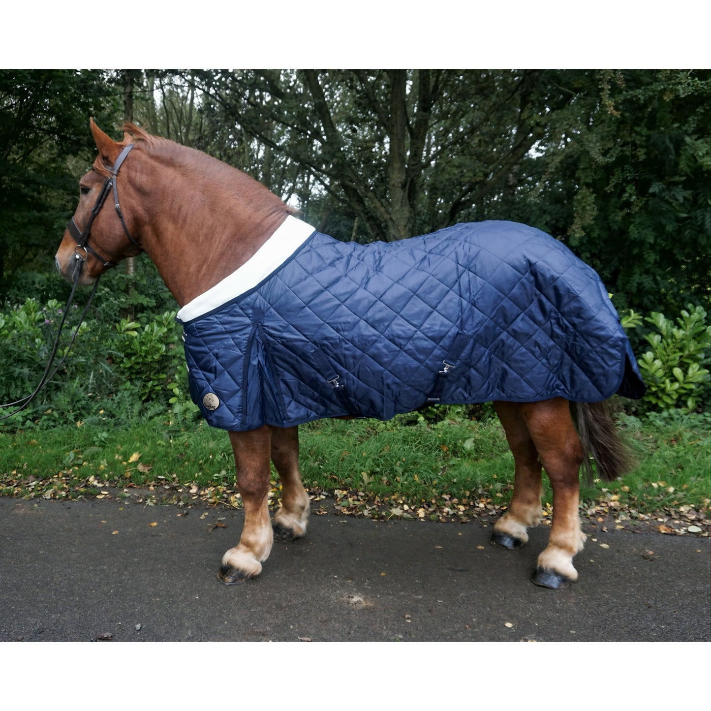 Heavy Horse 200g Middleweight Stable Rug With Fleece Collar