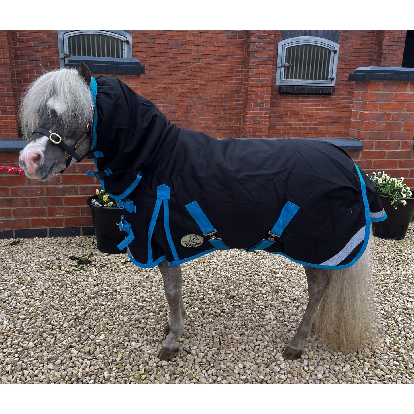 Shetland-Miniature-Donkey-Section A Middleweight 280g Combo Turnout Rug