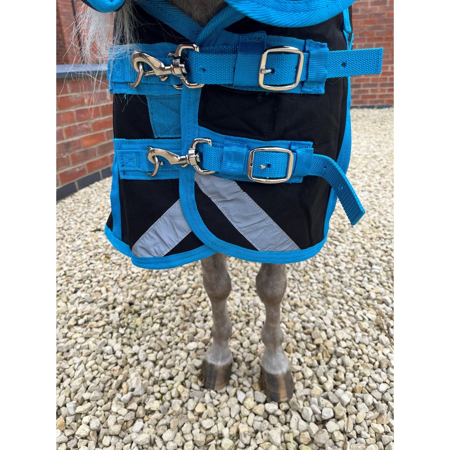 Shetland-Miniature-Donkey-Section A Middleweight 280g Combo Turnout Rug