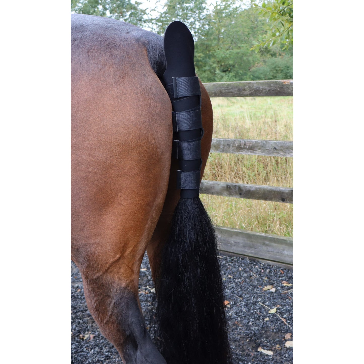 Neoprene Tail Guard With Velcro Fastenings