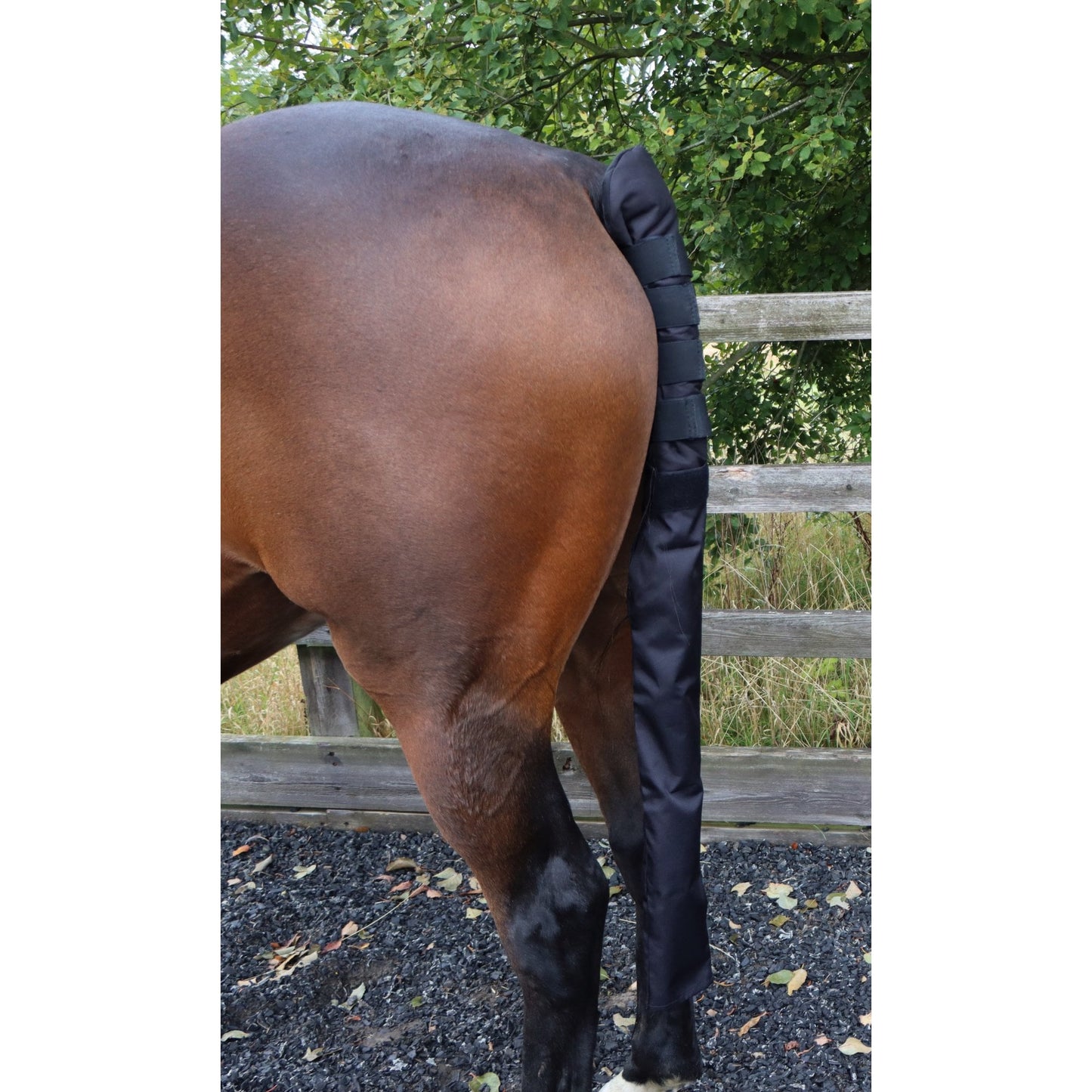 Padded Tail Guard With Detachable Tail Sleeve