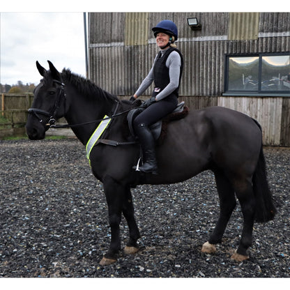 Hi-Viz Adjustable Breast Plate