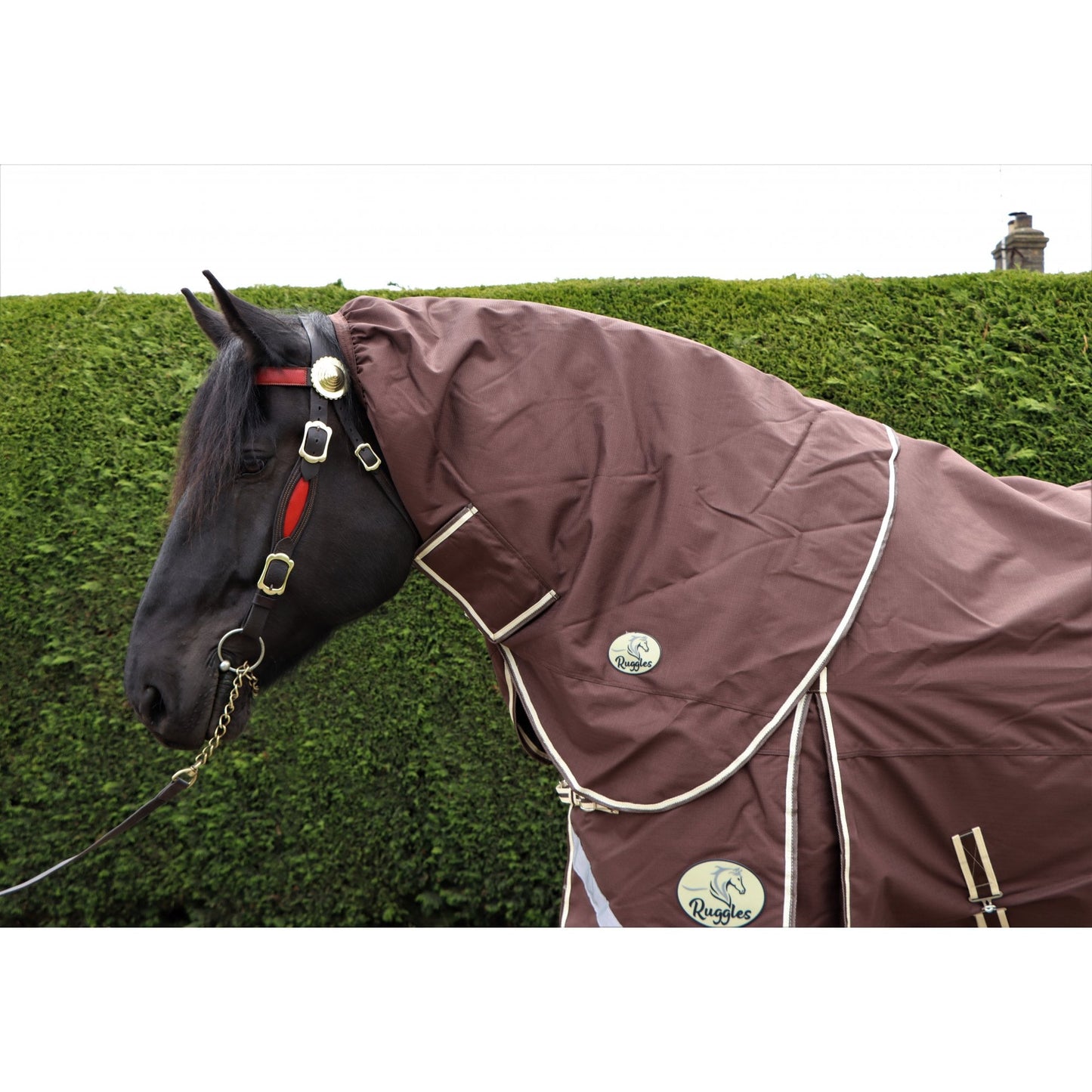 Heavy Horse 100g 1200D V2 Neck Cover Only (Matching Rug Available Separately)