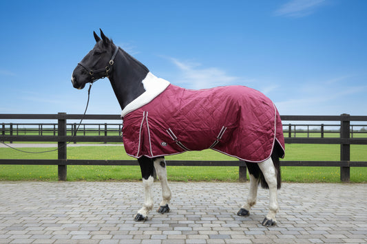 Heavy Horse 50g Stable Rug With Fleece Collar