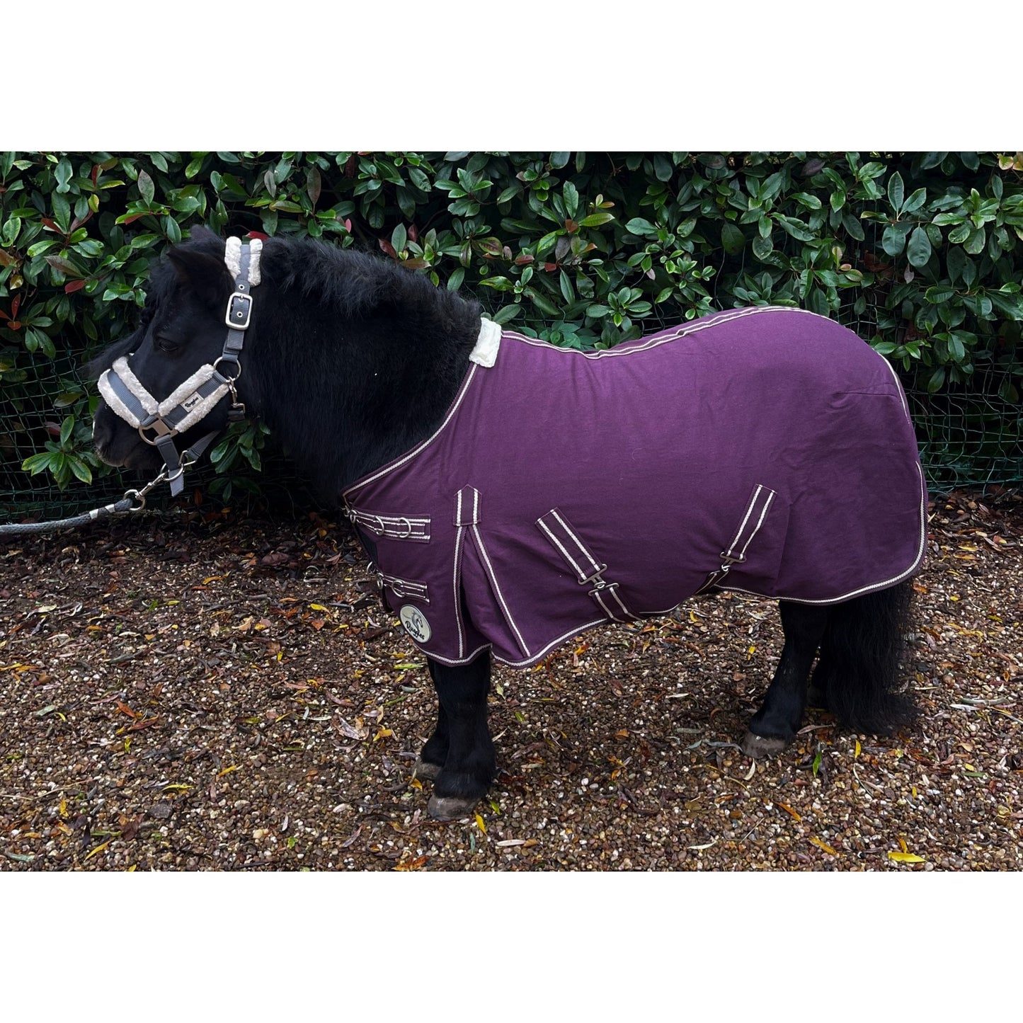 Shetland-Miniature-Donkey 100% Cotton Sheet