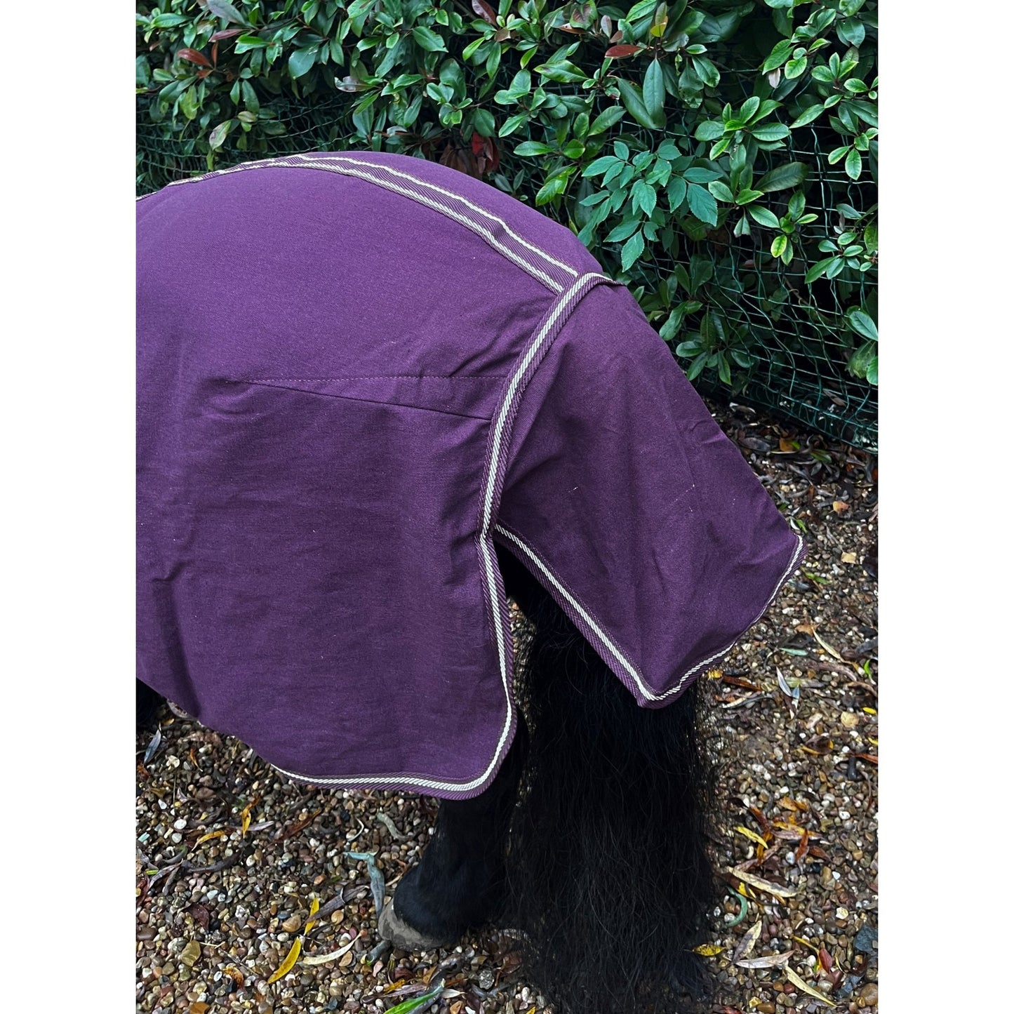 Shetland-Miniature-Donkey 100% Cotton Sheet