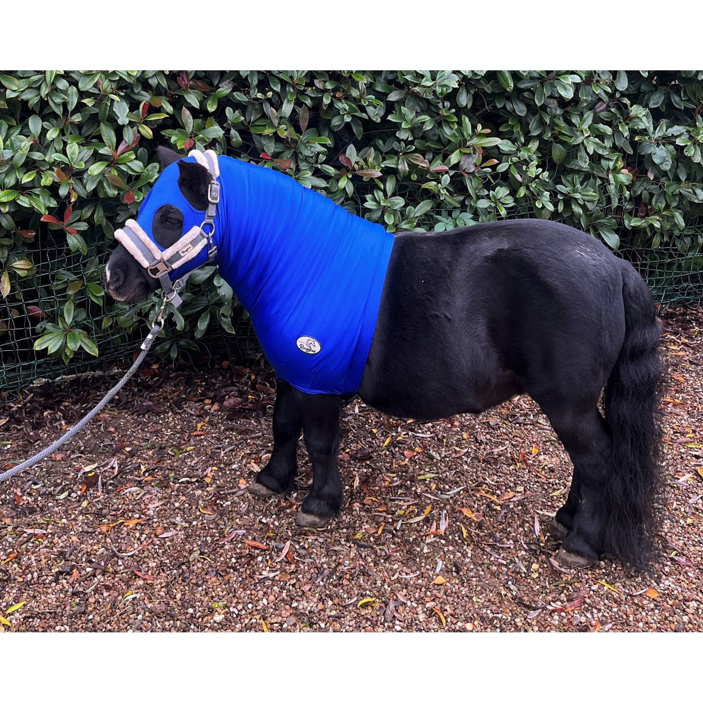 Shetland Lycra Hood With Zip