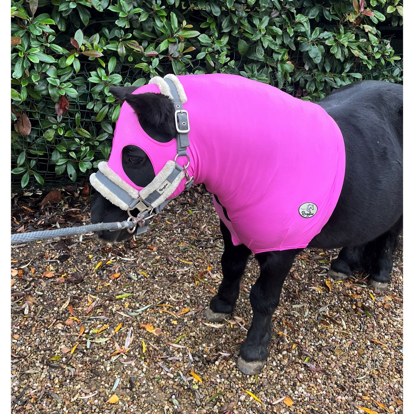 Shetland Lycra Hood With Zip