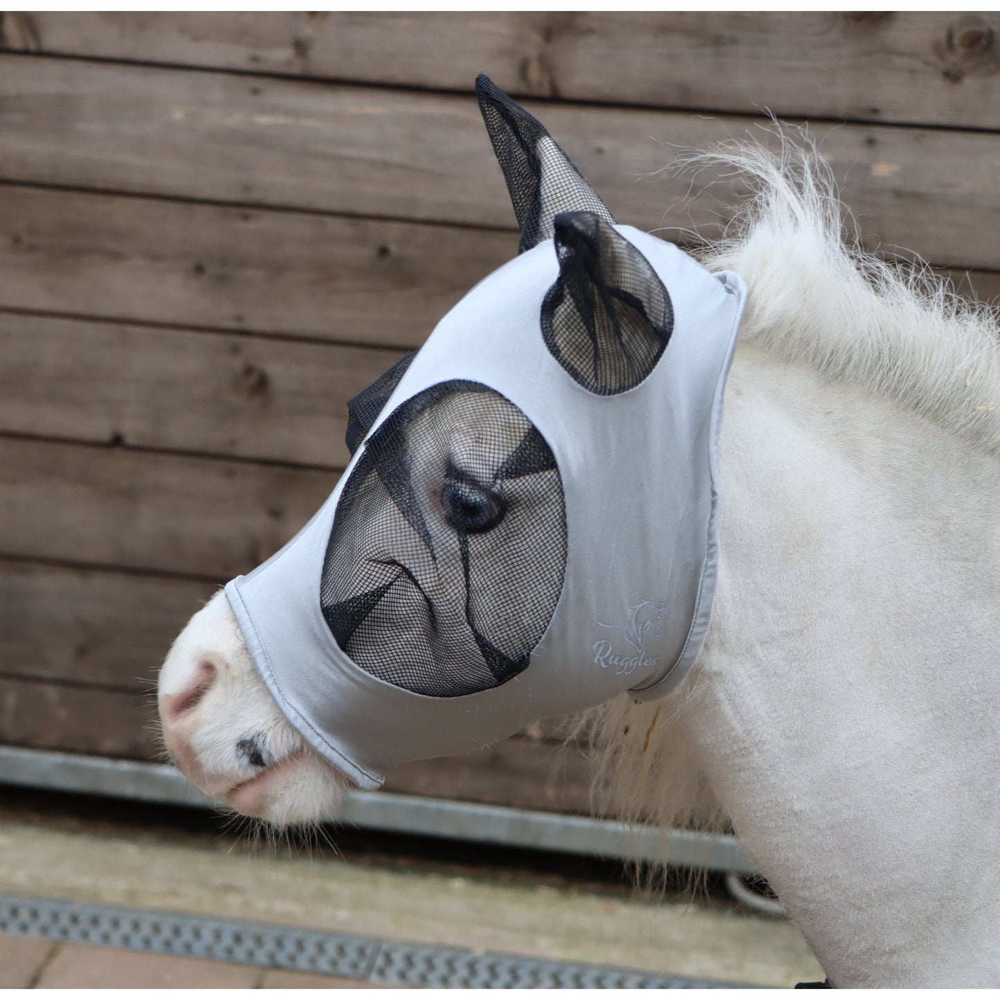Shetland-Miniature-Section A Pull On Fly Mask With Ears