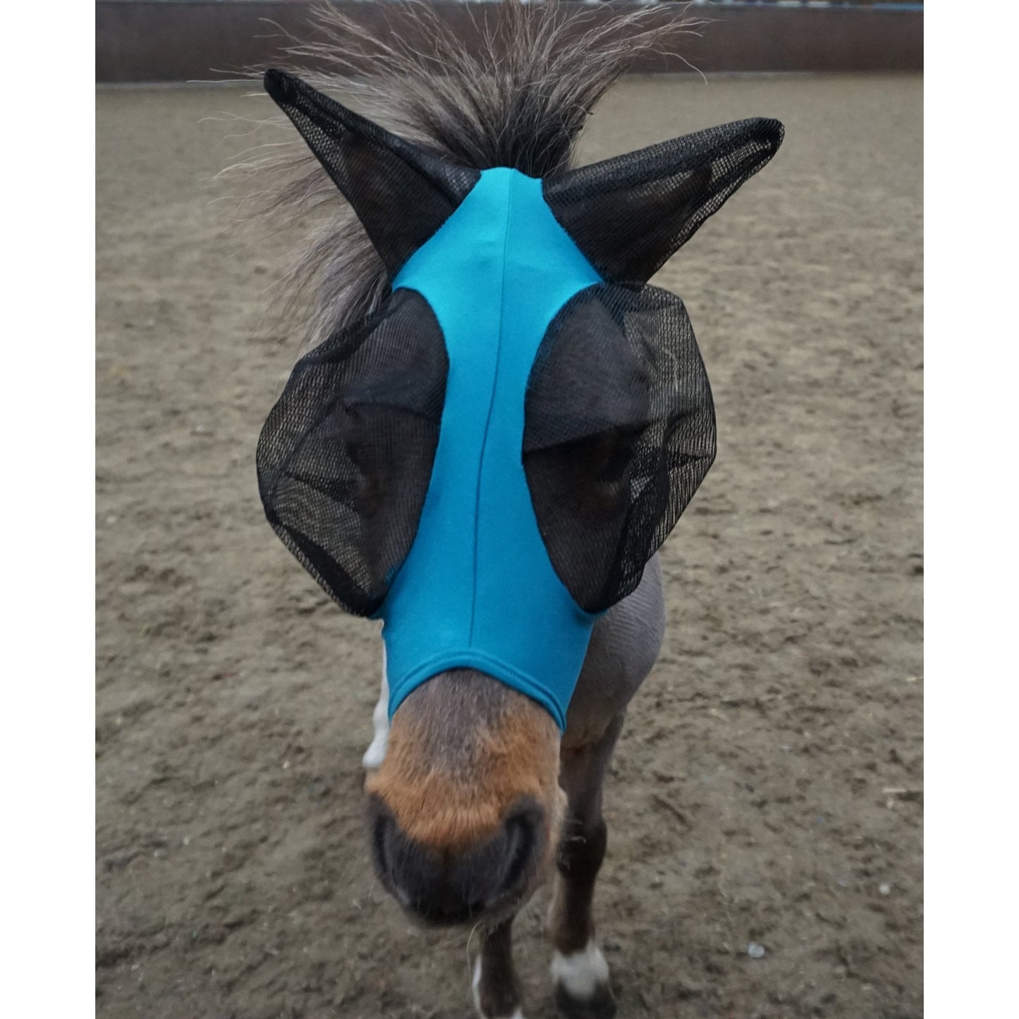 Shetland-Miniature-Section A Pull On Fly Mask With Ears
