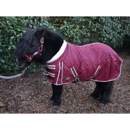 Shetland-Miniature-Donkey 50g Stable Rug