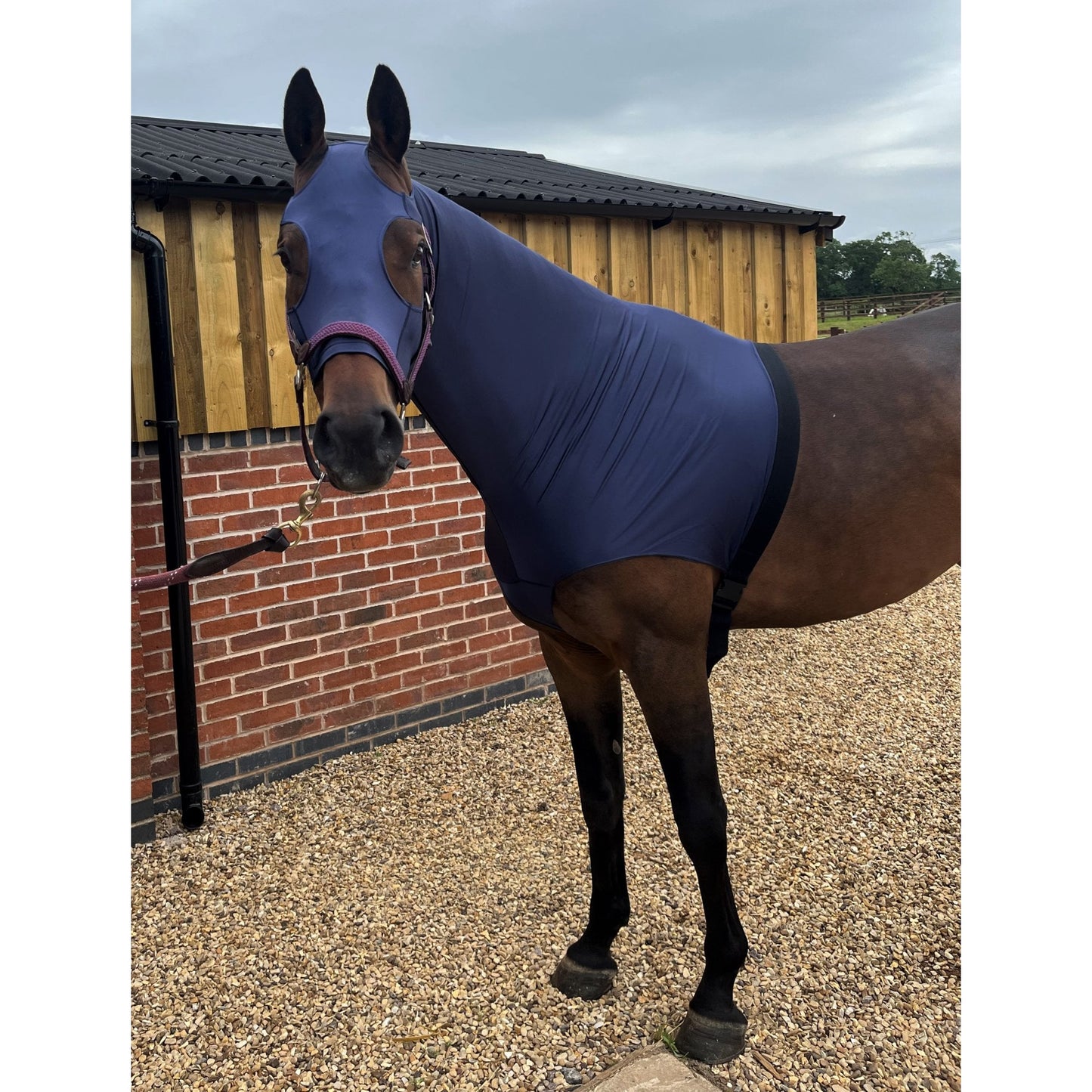 Lycra Hood With Zip Available With Or Without Ears