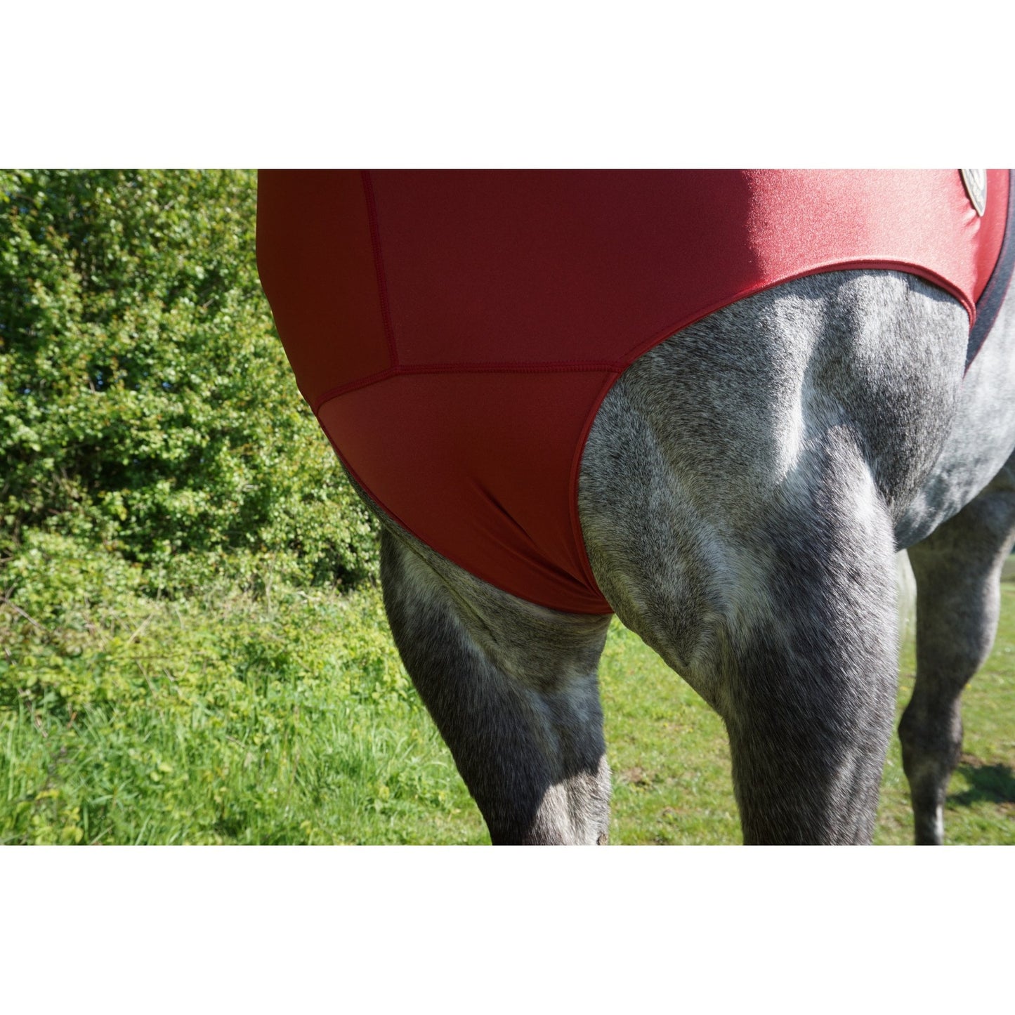 Lycra Hood With Zip Available With Or Without Ears