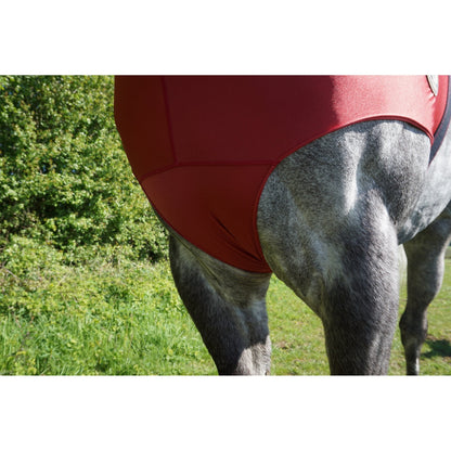 Lycra Hood With Zip Available With Or Without Ears