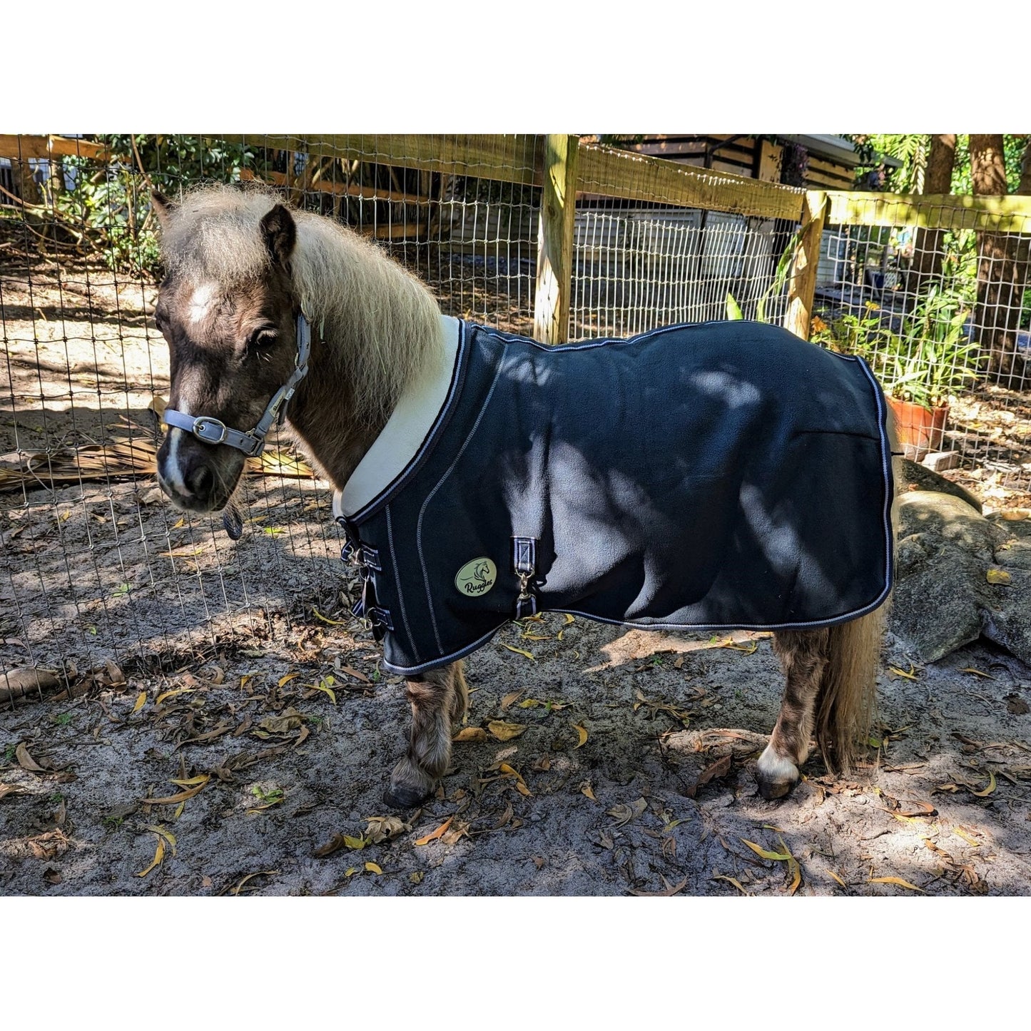 Shetland Double Bonded Fleece Rug