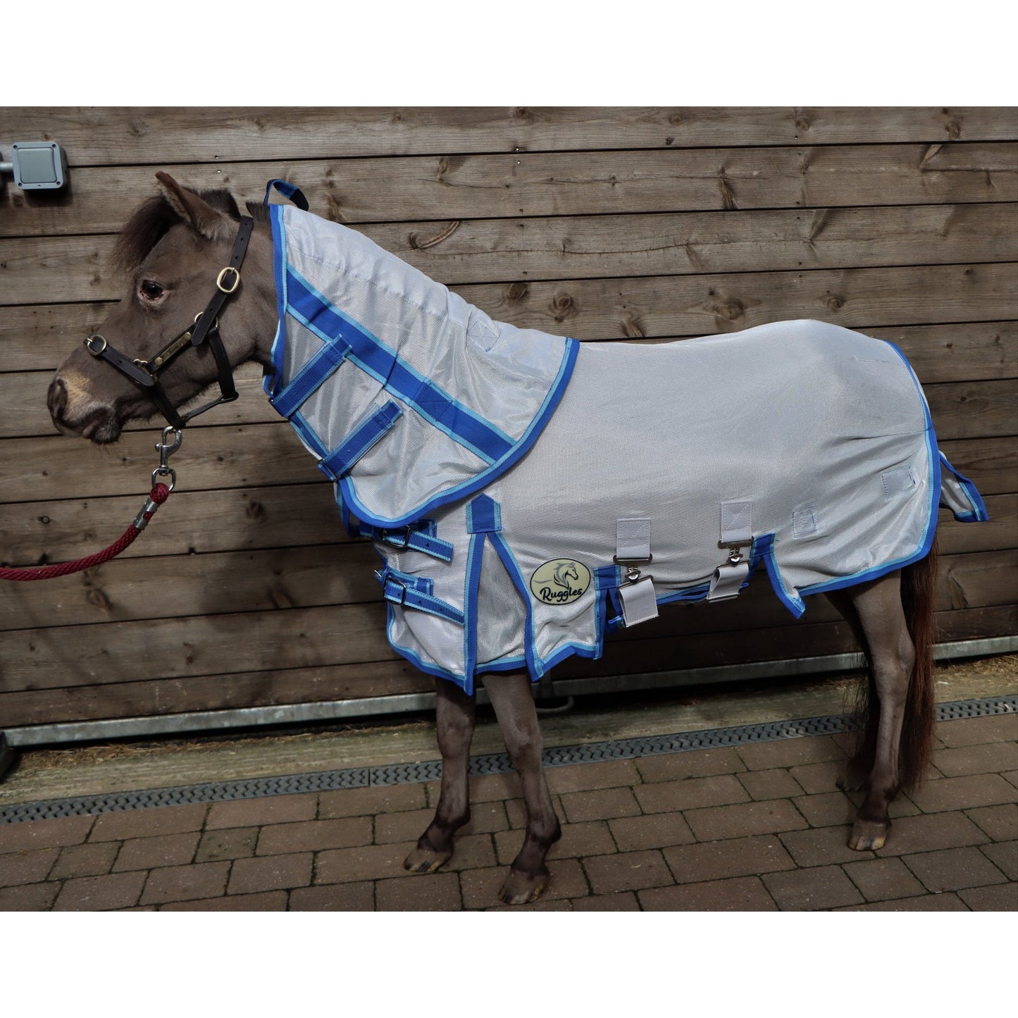 Shetland-Miniature-Donkey Fly Rug & Neck