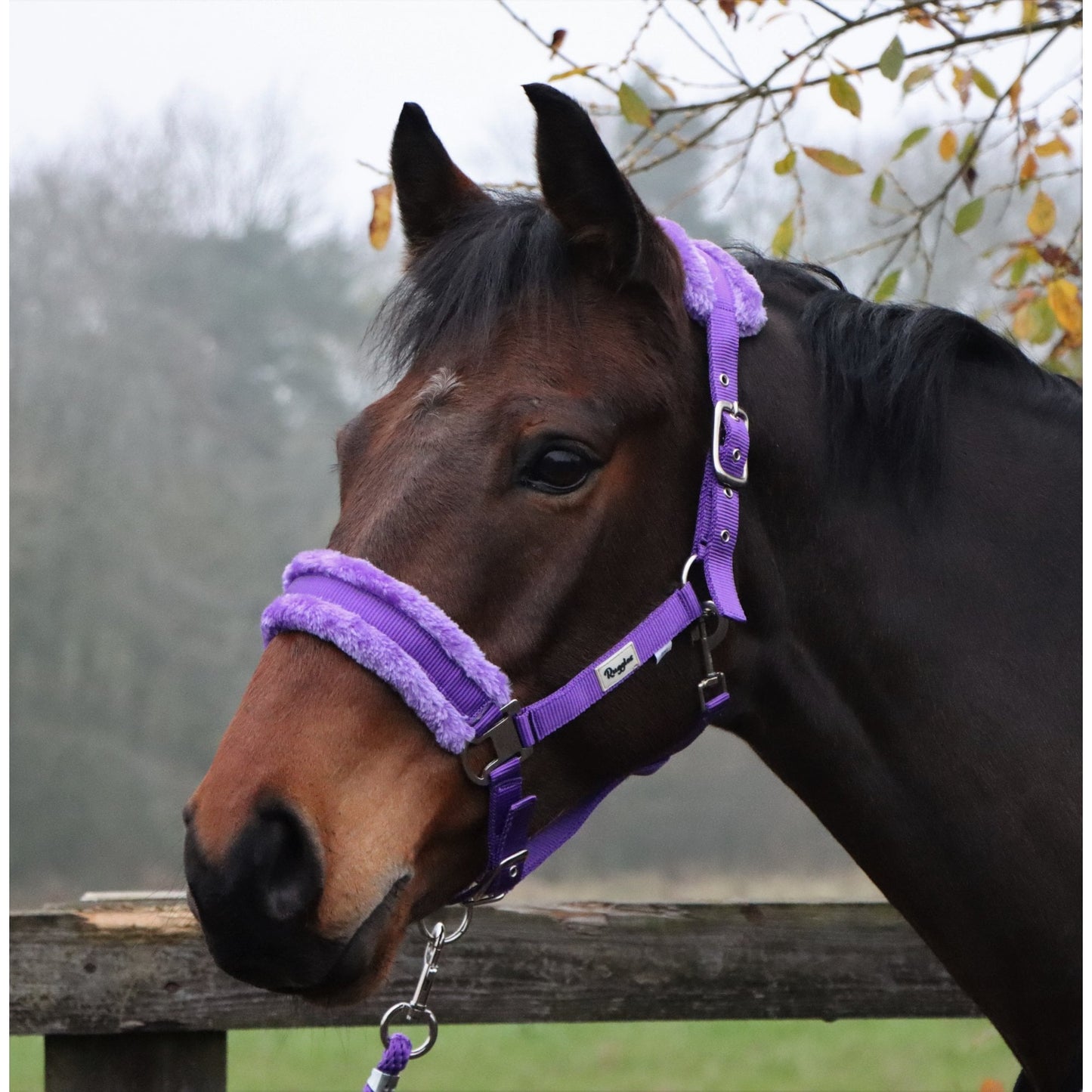 Horse and Pony Head Collar With Matching Fur
