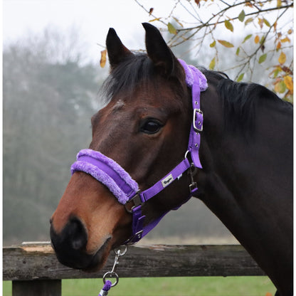 Horse and Pony Head Collar With Matching Fur