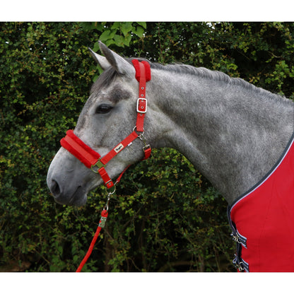 Horse and Pony Head Collar With Matching Fur