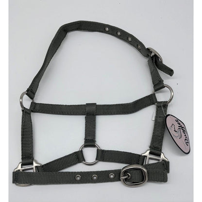 Shetland-Miniature Head Collar 3/4" Webbing
