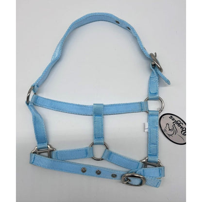 Shetland-Miniature Head Collar 3/4" Webbing
