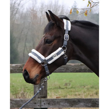 Shop Soiled 5'0 Ultra Light Fly Combo Rug V2 and A Grey Pony Headcollar With Contrast Fur