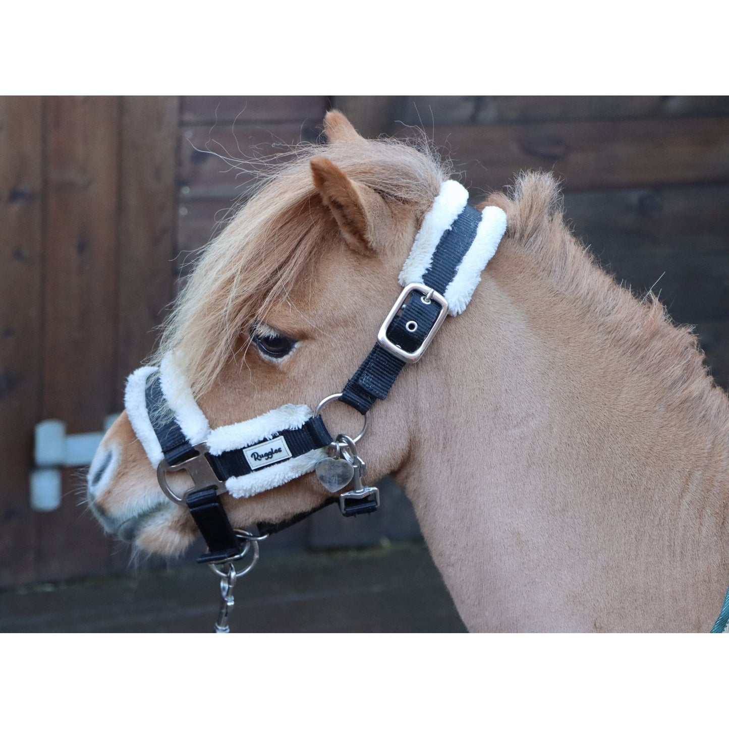 Shetland Head Collar With Contrast Fur