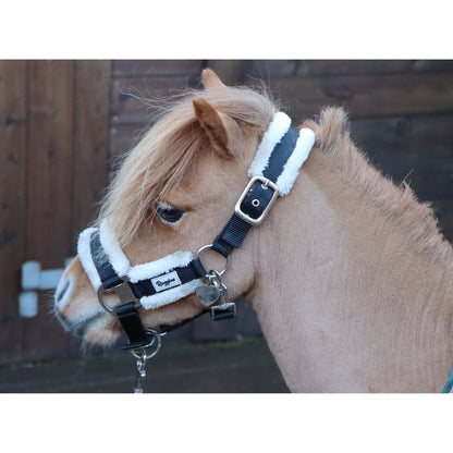 Shetland Head Collar With Contrast Fur