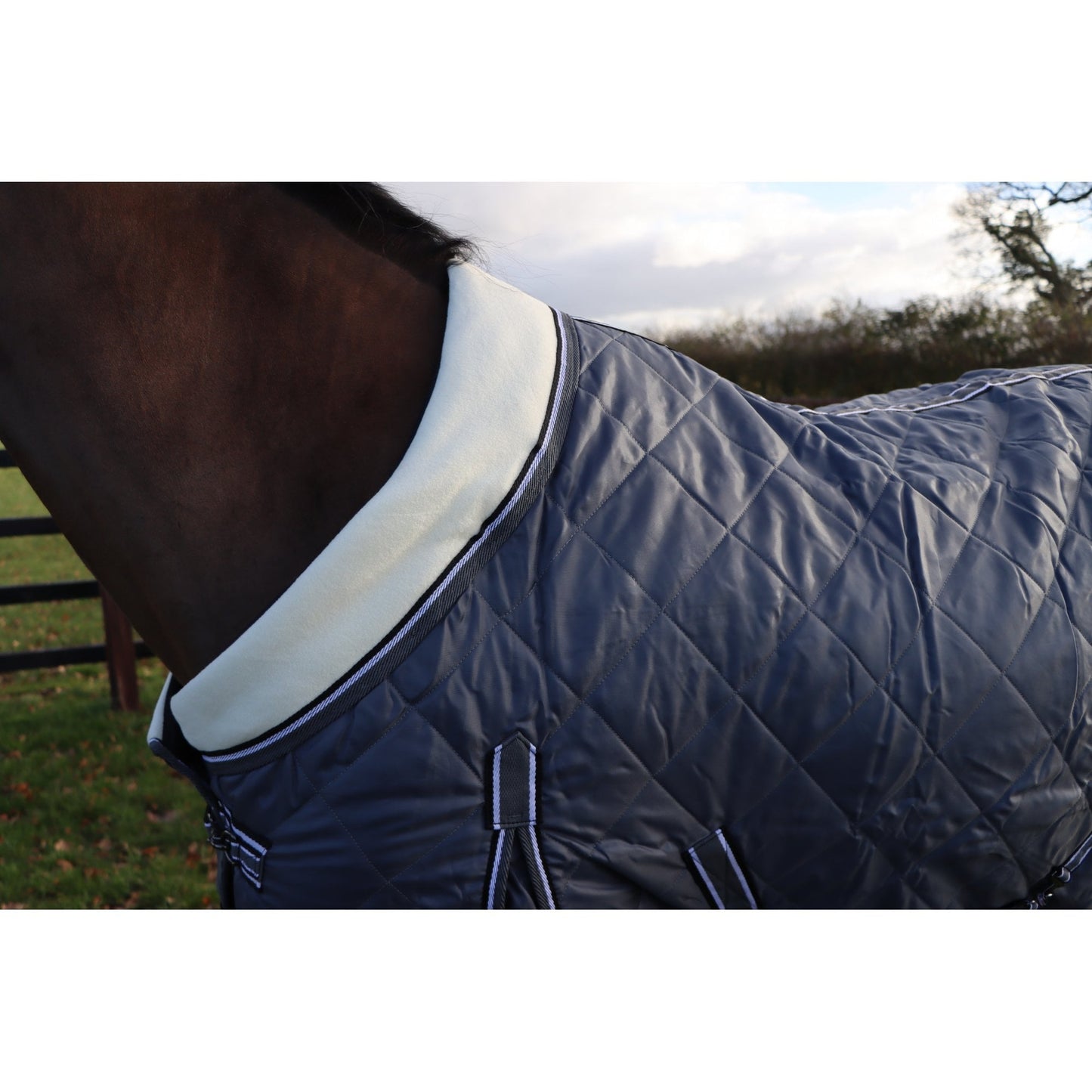 100g Lightweight Stable Rug With Fleece Collar