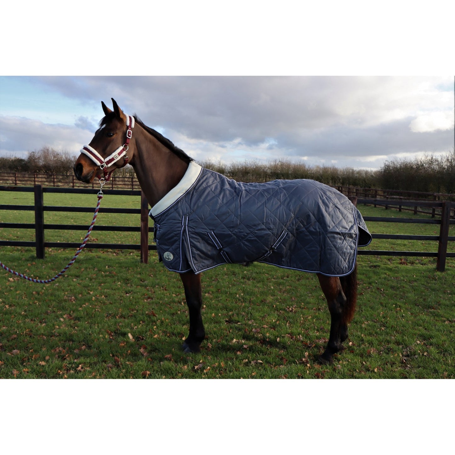 100g Lightweight Stable Rug With Fleece Collar