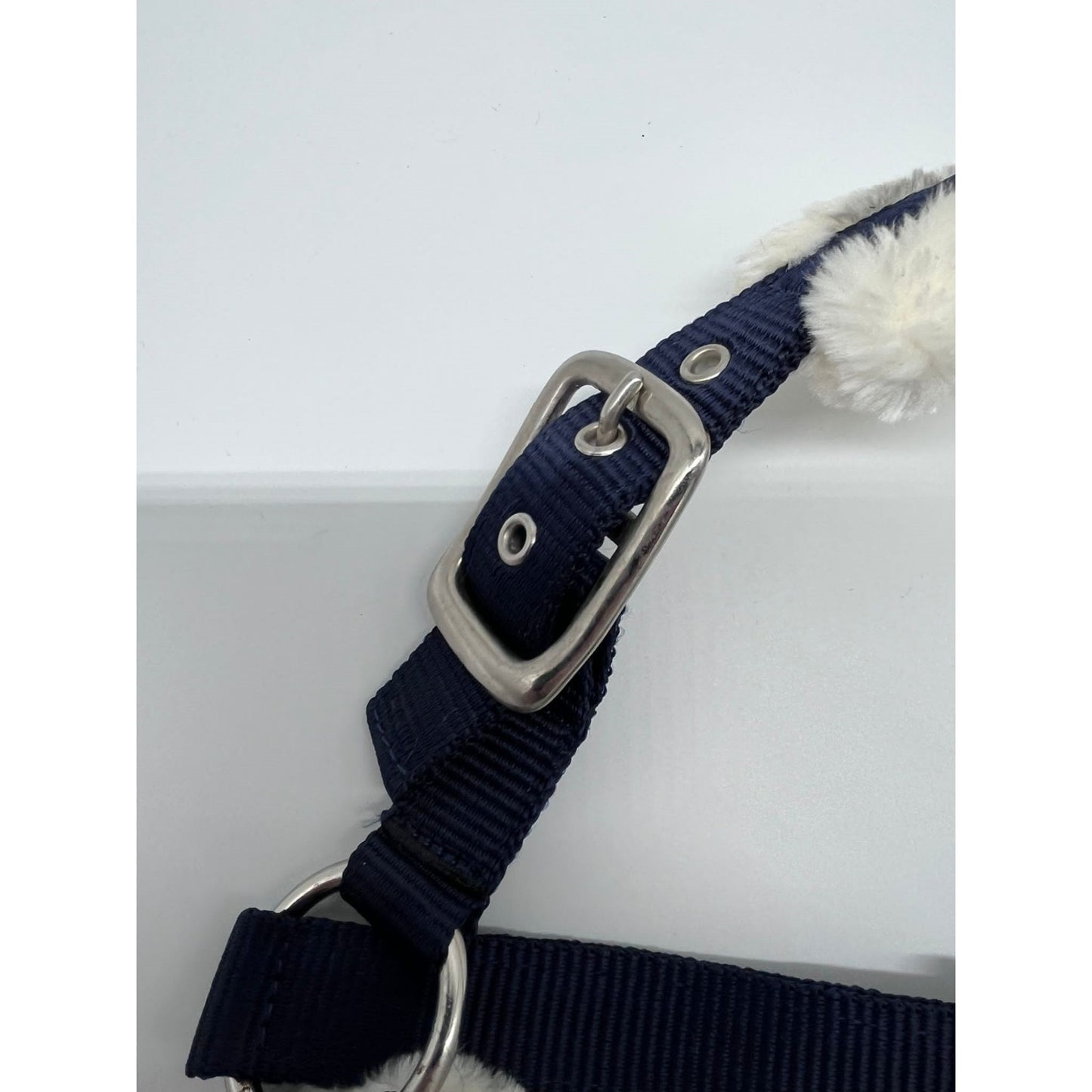 Shetland Head Collar With Contrast Fur