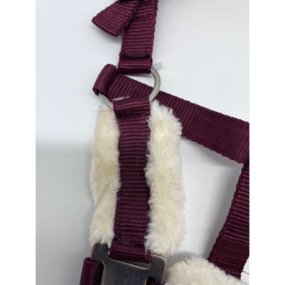 Shetland Head Collar With Contrast Fur