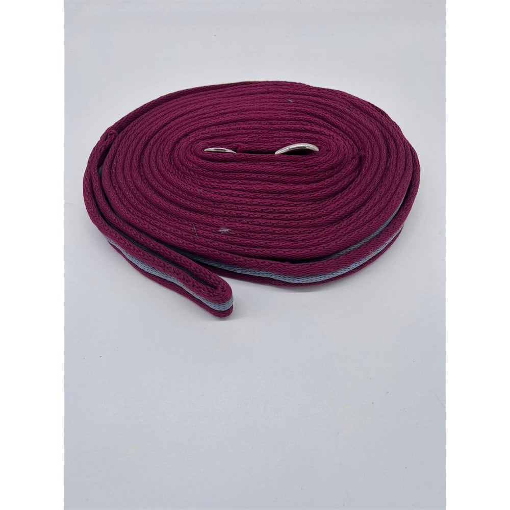 Soft Cushioned Webbing Lunge Line 8M